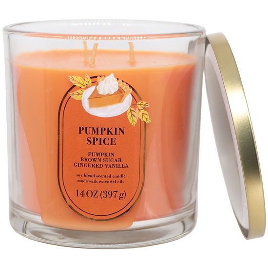  Sonoma Goods For Life® Pumpkin Spice 14-oz. Single Pour Jar Candle