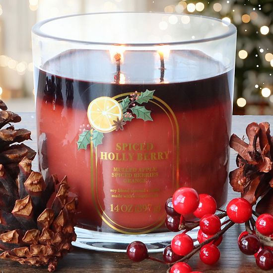  Sonoma Goods For Life® 14-oz. Spiced Holly Berry Single Pour Candle