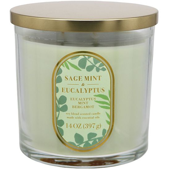  Sonoma Goods For Life® Sage Mint & Eucalyptus 14-oz. Blue Floral Candle Jar